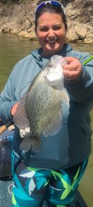 Up close of White Crappie slab.